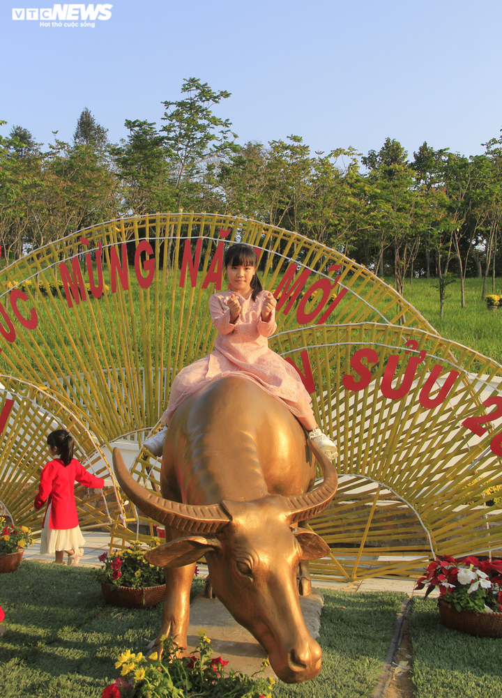 Nghệ An: Dòng người đổ xô về đường hoa xuân chiều 30 Tết - 9