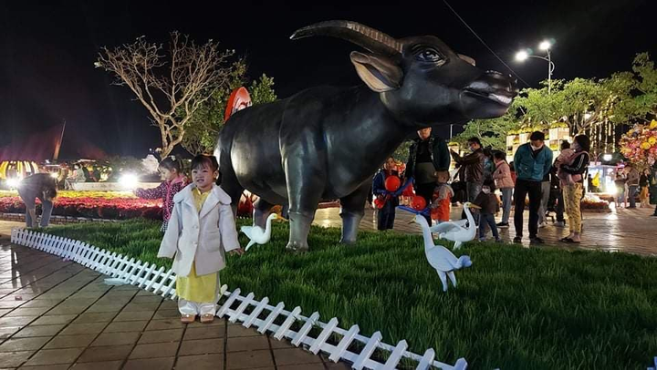 Pháo hoa rực sáng bầu trời Thủ đô mừng năm mới Tân Sửu 2021 - 37