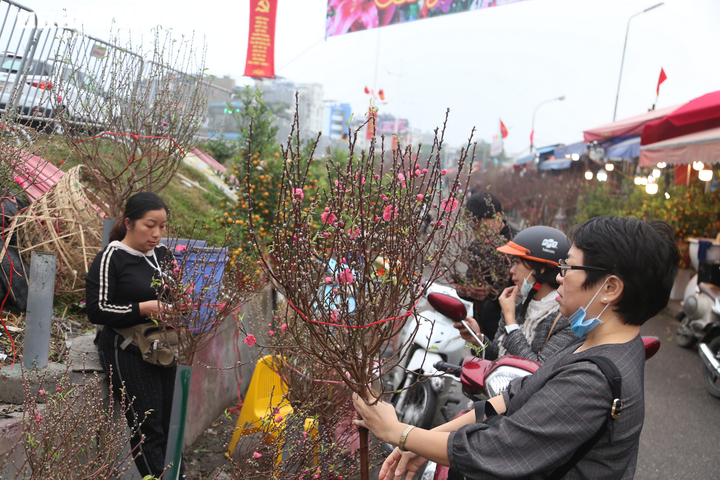 Thời tiết ngày 30 Tết: miền Bắc chìm trong sương mù, nắng ấm ban ngày - 1