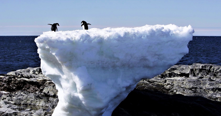 Những thay đổi đáng lưu ý của tự nhiên gần đây - 4