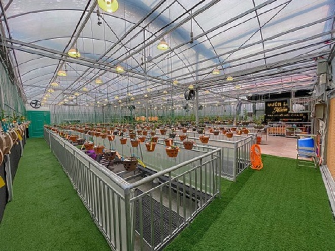 Vườn lan bạc tỷ của chàng trai trẻ thu hút khách chơi lan mọi miền - 1