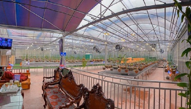 Vườn lan bạc tỷ của chàng trai trẻ thu hút khách chơi lan mọi miền - 2