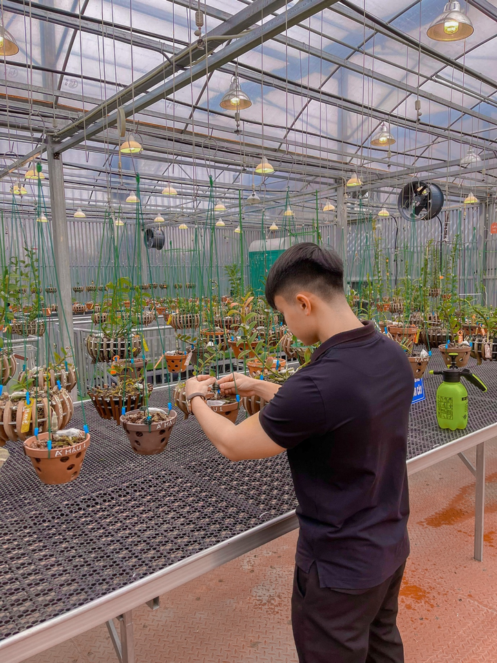 Vườn lan bạc tỷ của chàng trai trẻ thu hút khách chơi lan mọi miền - 3