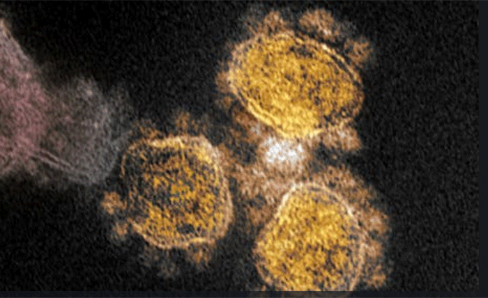 Hai biến chủng SARS-CoV-2 tại Anh nguy hiểm ra sao? - 1