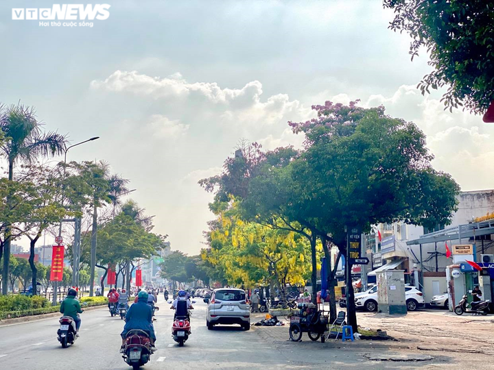 Sài Gòn đẹp nao lòng mùa hoa muồng hoàng yến vàng rực các tuyến phố - 1