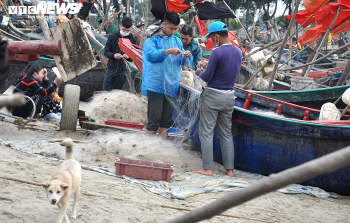 Ảnh: Trúng lộc biển đầu năm, ngư dân Thanh Hóa thu tiền triệu mỗi ngày - 2