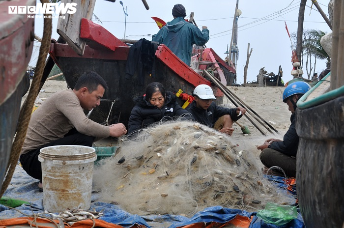 Ảnh: Trúng lộc biển đầu năm, ngư dân Thanh Hóa thu tiền triệu mỗi ngày - 4