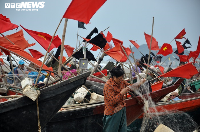 Ảnh: Trúng lộc biển đầu năm, ngư dân Thanh Hóa thu tiền triệu mỗi ngày - 7