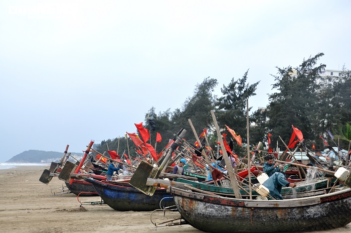 Ảnh: Trúng lộc biển đầu năm, ngư dân Thanh Hóa thu tiền triệu mỗi ngày - 9