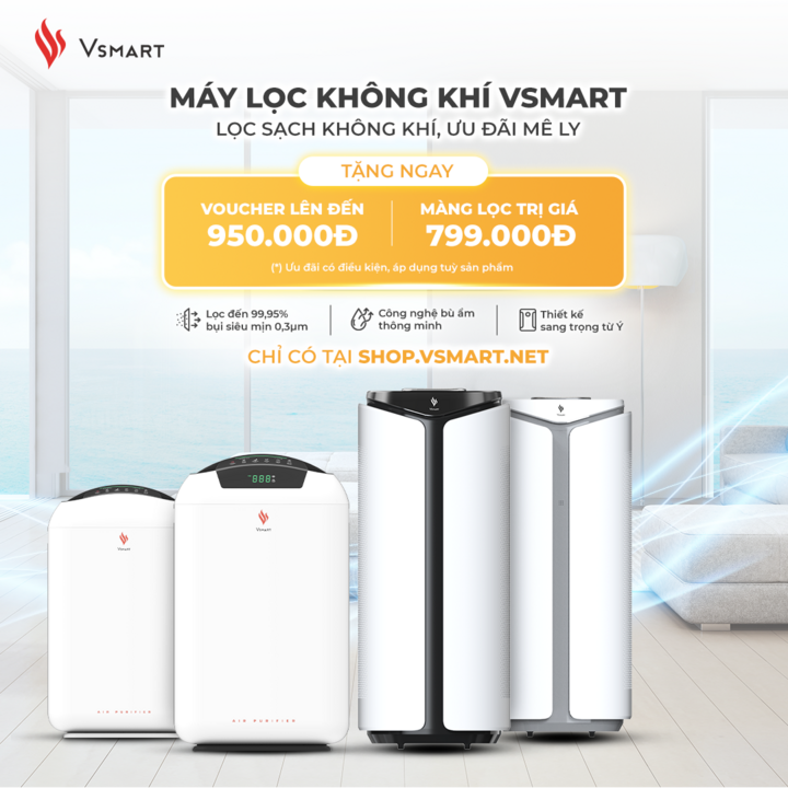 Máy lọc không khí là 'cứu cánh' của gia đình Việt? - 1