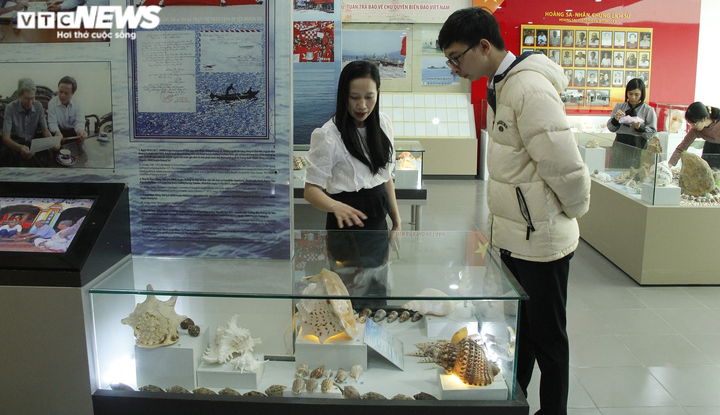 Độc, lạ bộ sưu tập vỏ ốc tại Nhà trưng bày Hoàng Sa - 8