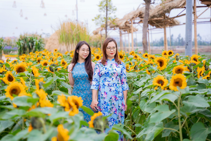 Đường hoa Home Hanoi Xuân: Điểm đến an toàn Tết Tân Sửu - 2