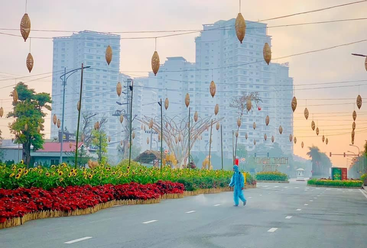 Đường hoa Home Hanoi Xuân: Điểm đến an toàn Tết Tân Sửu - 12