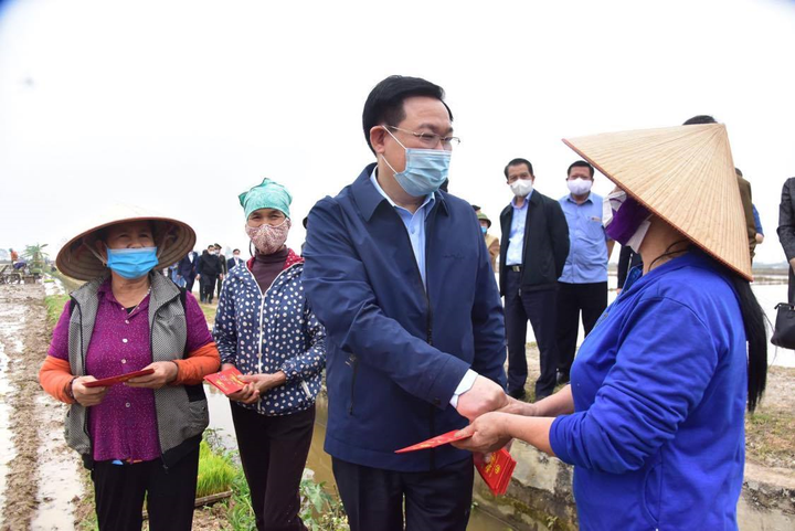 Bí thư và Chủ tịch Hà Nội xuống ruộng cấy lúa, mừng tuổi động viên nông dân - 4