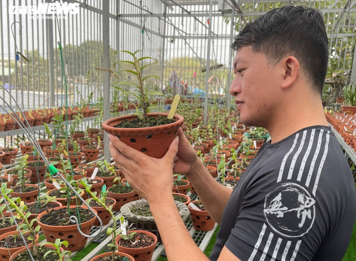 Chàng trai Nam Định và niềm say mê hoa lan - 1