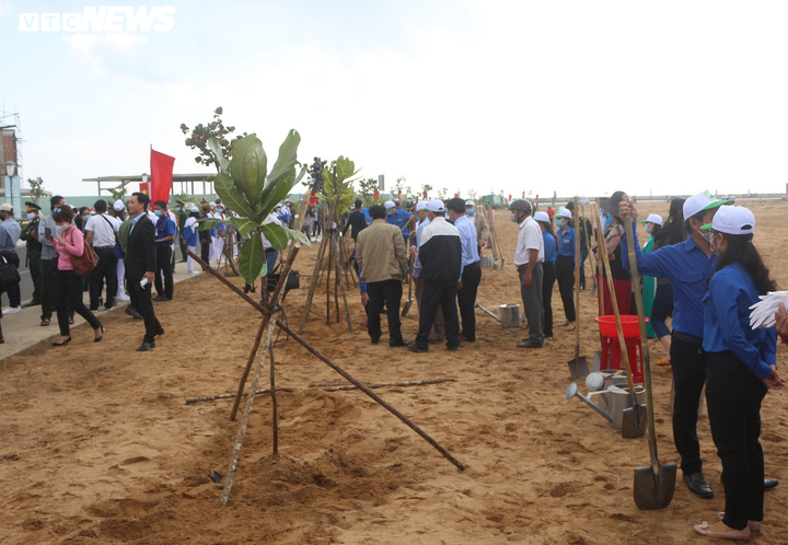 Thủ tướng: Hãy vì một Việt Nam xanh - 9