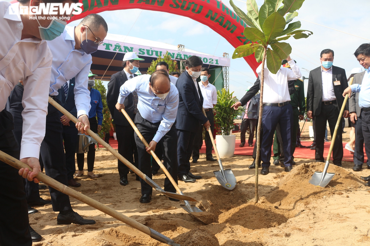 Thủ tướng: Hãy vì một Việt Nam xanh - 7