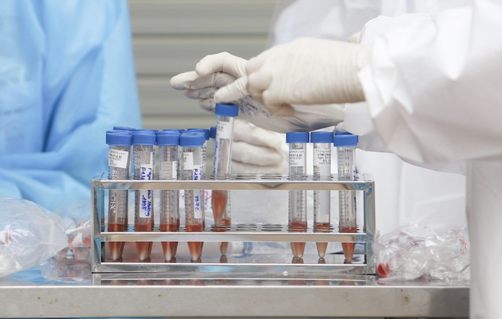 9 ngày liên tiếp TP.HCM không ghi nhận ca COVID-19 trong cộng đồng - 1