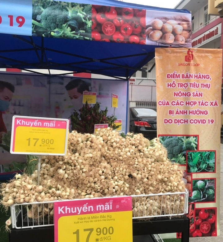 Siêu thị Co.opmart vào cuộc giải cứu nông sản Hải Dương - 1