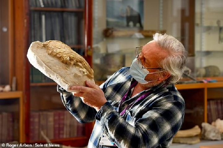 Hóa thạch 66 triệu năm của loài cá khổng lồ, dài gần 5 m - 1