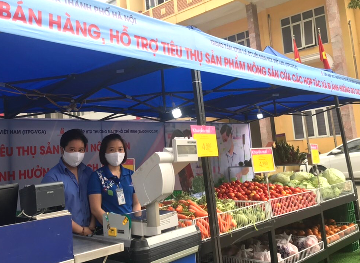 Siêu thị Co.opmart vào cuộc giải cứu nông sản Hải Dương - 3