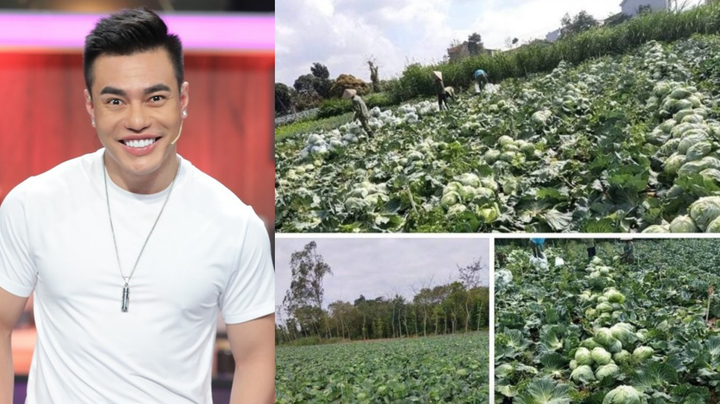 Sao Việt 'giải cứu' nông sản Hải Dương giữa dịch COVID-19 - 2