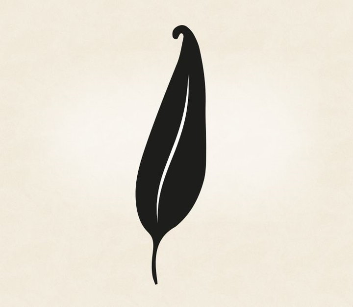 Trắc nghiệm vui: Chiếc lông vũ yêu thích tiết lộ điều gì về bạn? - 2