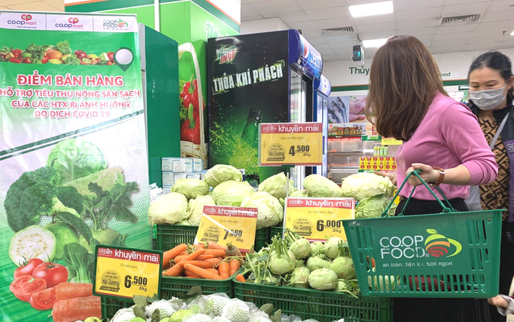 Thêm hàng trăm cửa hàng Co.op Food tại Hà Nội giải cứu nông sản Hải Dương - 1
