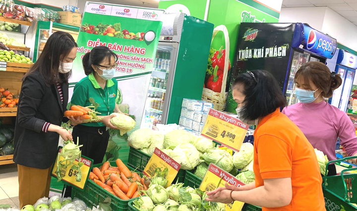 Thêm hàng trăm cửa hàng Co.op Food tại Hà Nội giải cứu nông sản Hải Dương - 2