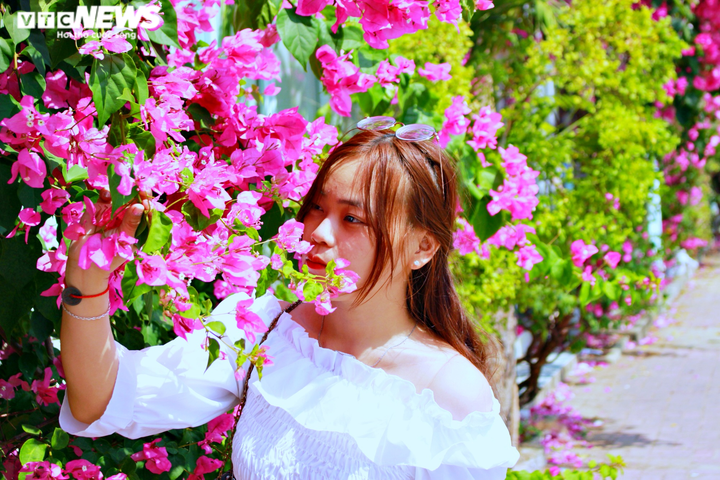 Những con đường hoa giấy ‘cực phẩm’ gây bão ở Vũng Tàu - 7