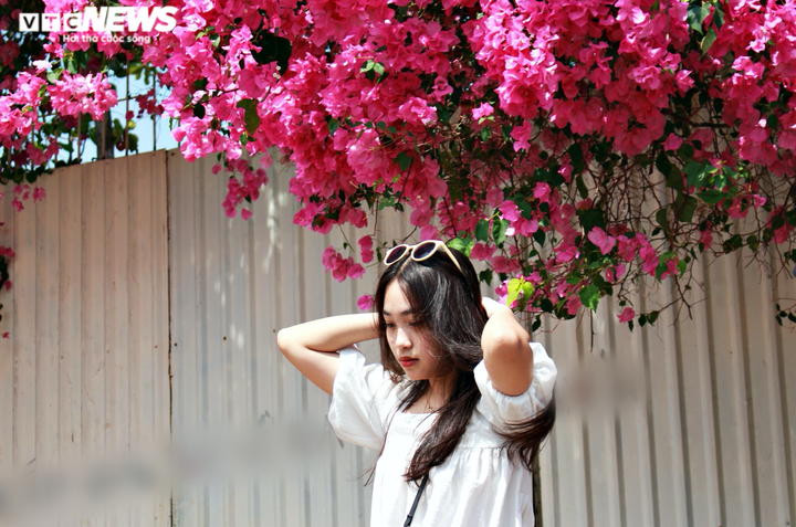 Những con đường hoa giấy ‘cực phẩm’ gây bão ở Vũng Tàu - 6