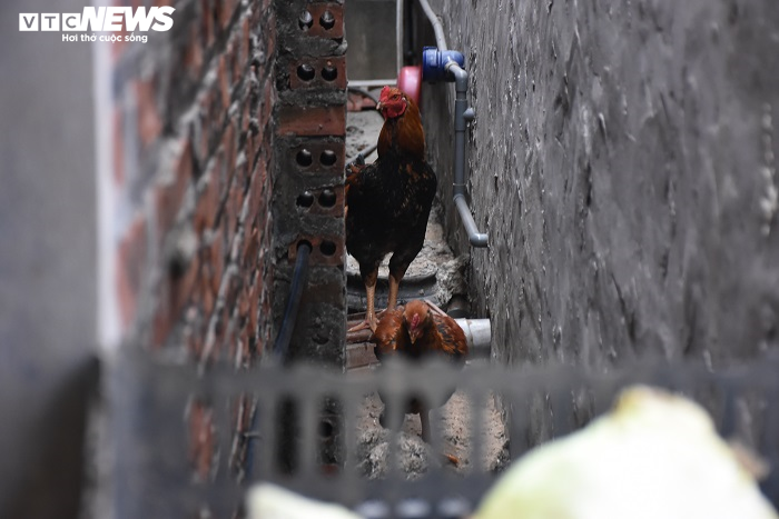 Ảnh: Mắc kẹt ở nhà trọ giữa tâm dịch, công nhân chồng chất lo cơm áo gạo tiền - 6