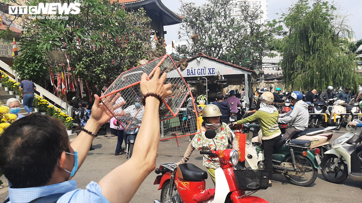 Tết Nguyên tiêu ở TP.HCM: Chùa đông nghịt khách, chùa lác đác vài người - 5