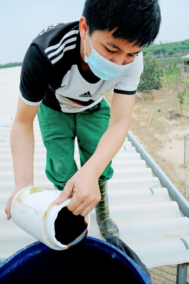 Nông dân Chí Linh 'méo mặt' nuôi hơn 700.000 con gà đồi khó tiêu thụ - 7