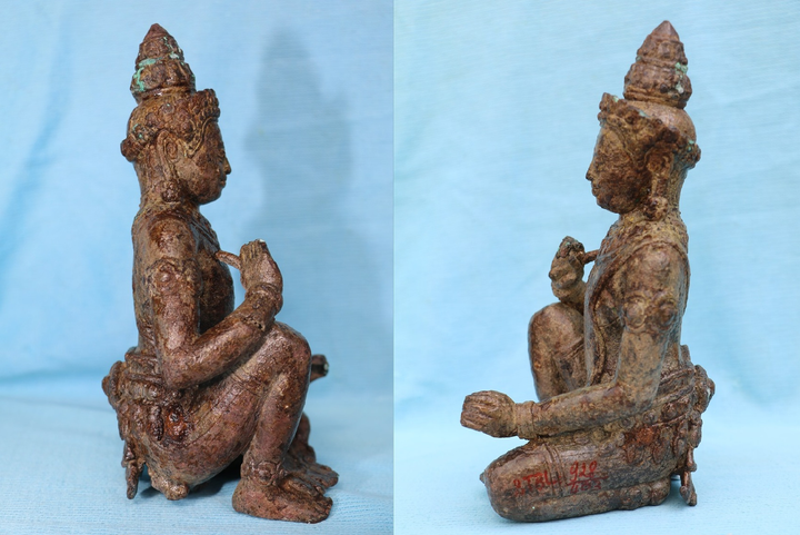 Mục sở thị tượng Nam thần - 'bảo vật quốc gia' tại Bạc Liêu - 2