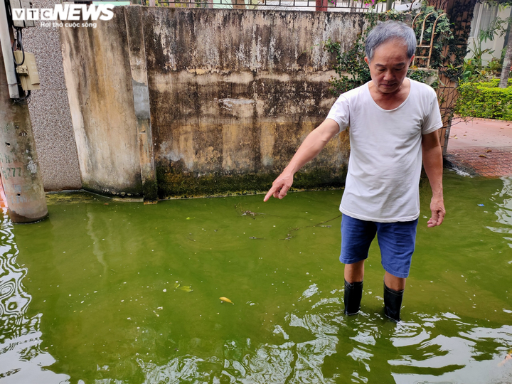 Kinh hãi con ngõ ở Quảng Bình thành ao nước thải, bốc mùi thối dù không mưa - 2