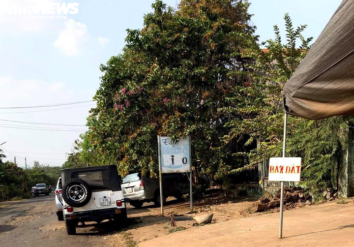Bình Phước: Cò đất ôm sổ đỏ ra đường 'vẫy khách' sau đề xuất xây sân bay - 12
