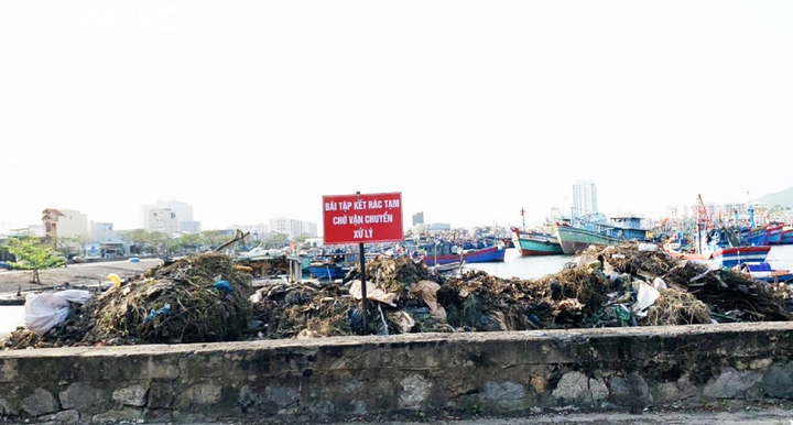 Xe chở rác chặn đường vào bãi Khánh Sơn: Sở NT&PTNT Đà Nẵng nói gì? - 2