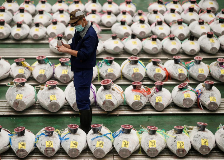 Nghệ thuật biến mọi thứ đắt như vàng ở Nhật: Cá ngừ 41 tỷ, quả dưa bằng giá ô tô - 1