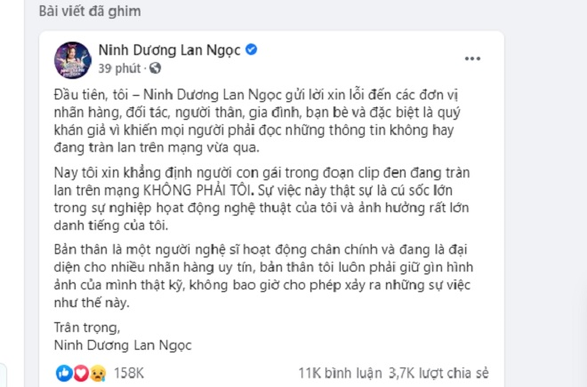 Hình ảnh xuất hiện trên web đen, Ninh Dương Lan Ngọc nói gì? - 2
