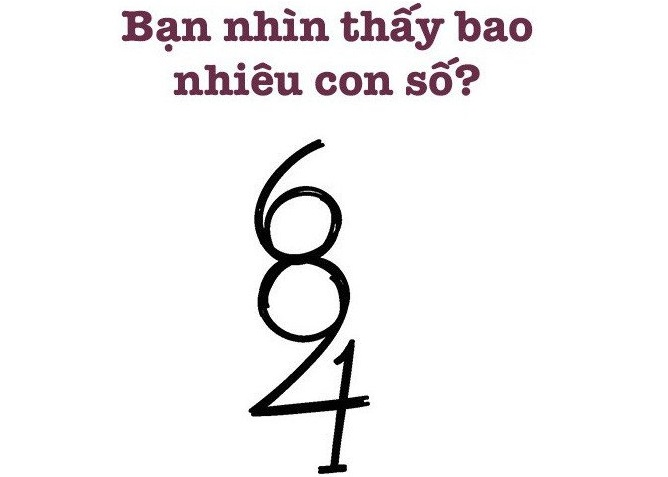 Đố vui: Bạn nhìn thấy bao nhiêu con số? - 1