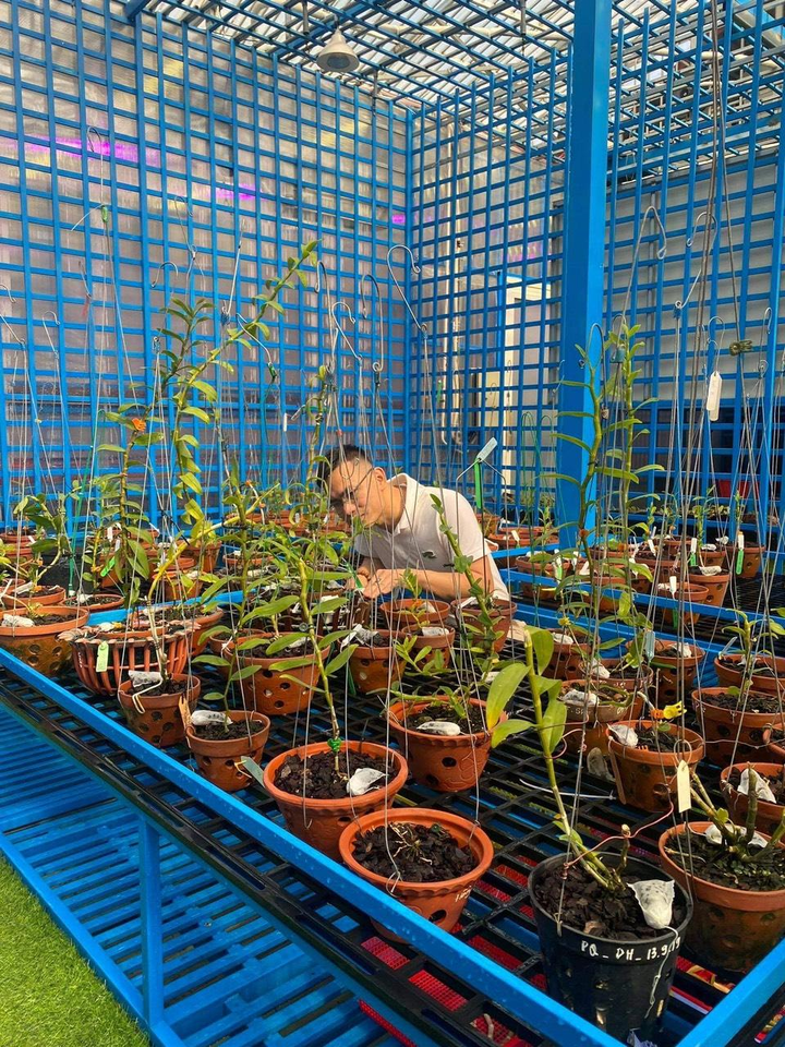 Nghệ nhân Bùi Đình Chung chia sẻ bí quyết chọn và chăm sóc hoa lan - 3