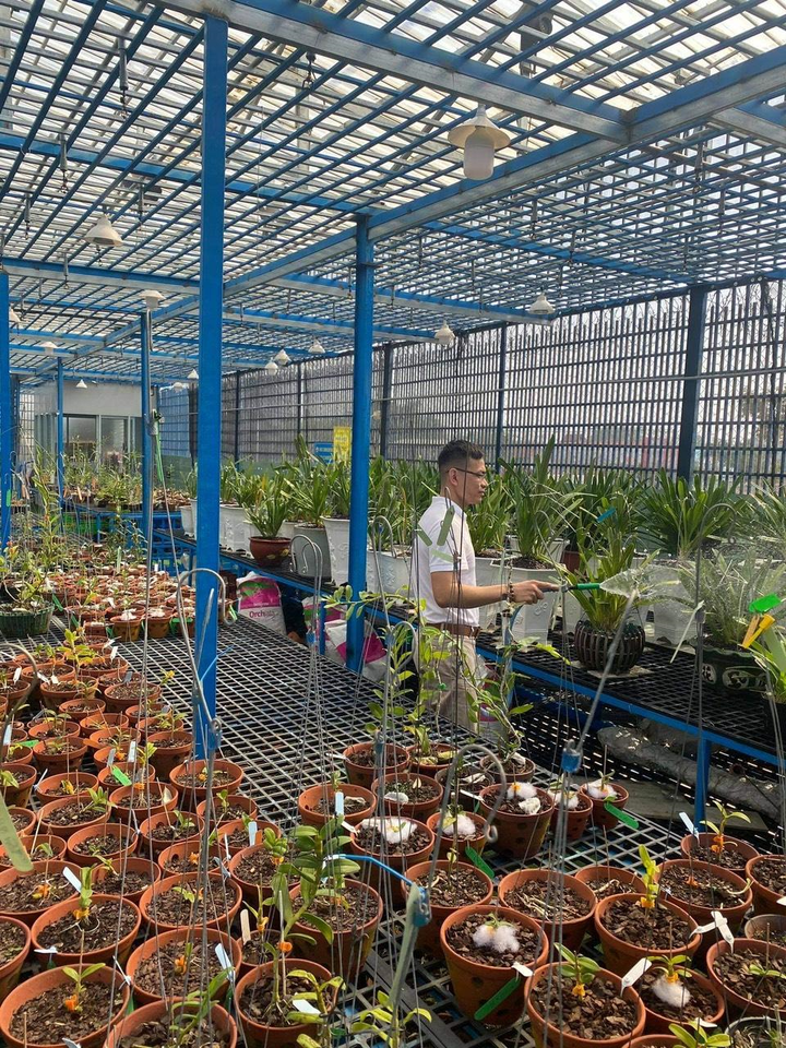 Nghệ nhân Bùi Đình Chung chia sẻ bí quyết chọn và chăm sóc hoa lan - 5