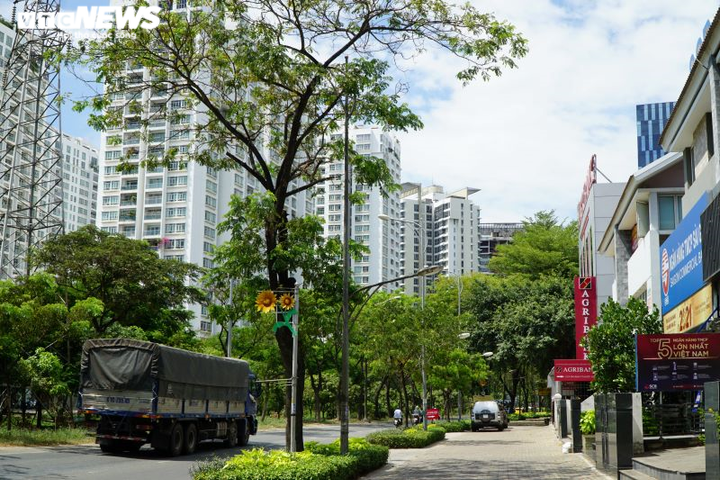 GĐ Sở TN-MT TP.HCM: Thu hồi, bán đấu giá đất ven đường mới mở không trái luật - 3