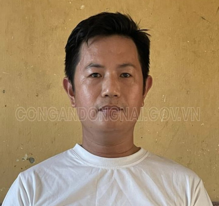 Bắt hai thuyền trưởng trong đường dây làm giả cả triệu lít xăng ở Đồng Nai - 1