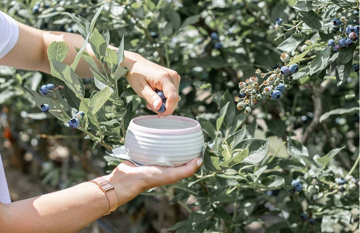 Những công dụng không ngờ của quả việt quất - 2