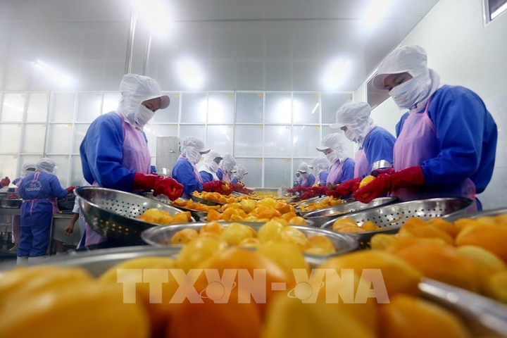 Việt Nam lần đầu lọt nhóm có Chỉ số Tự do kinh tế trung bình - 1