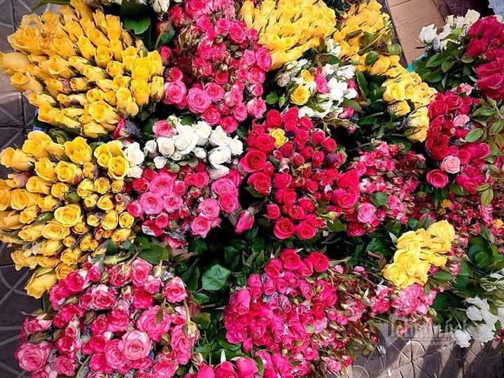 Hoa hồng tăng giá gấp 5, dân buôn tranh mua, nhà vườn cháy hàng - 1