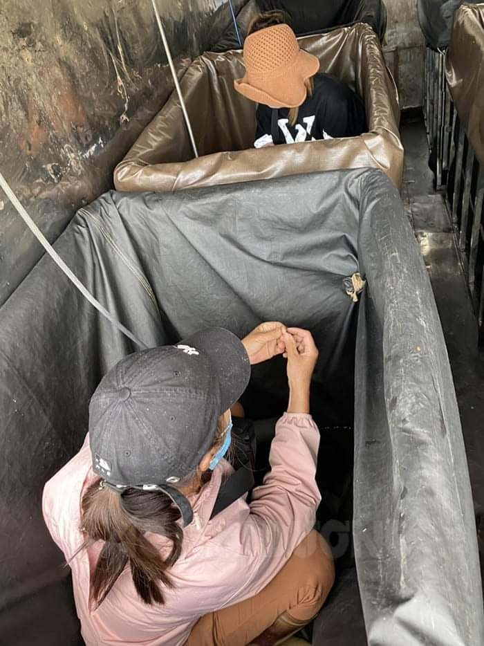 Trốn trong thùng xe né chốt kiểm dịch, 3 người bị phạt 60 triệu đồng - 1