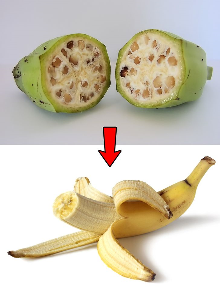 Sửng sốt xem áo bơi, dao cạo... thay hình đổi dạng theo thời gian - 12